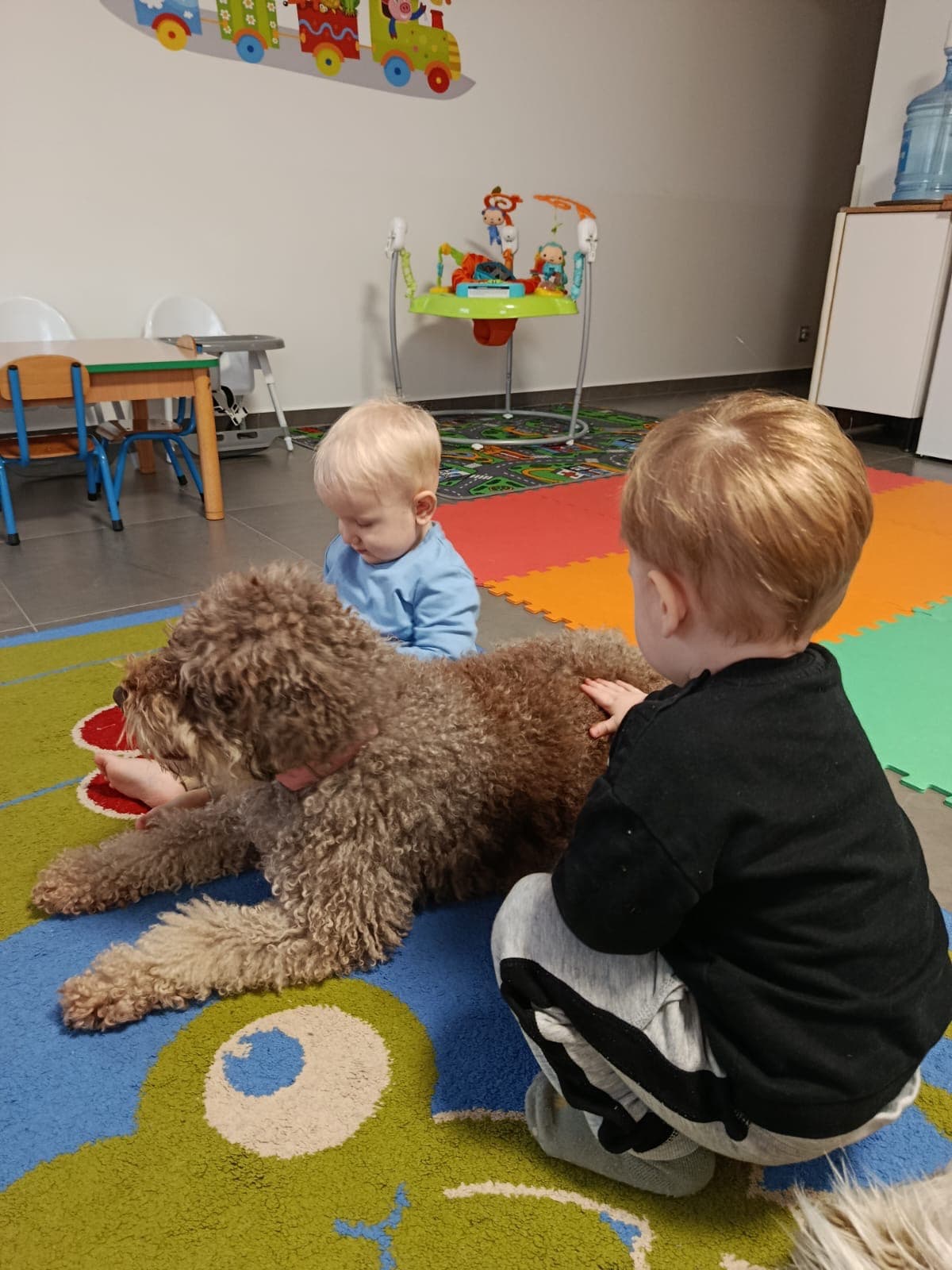 Dogotherapy gallery 1