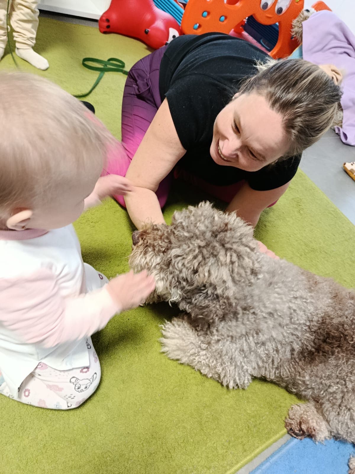 Dogotherapy gallery 2