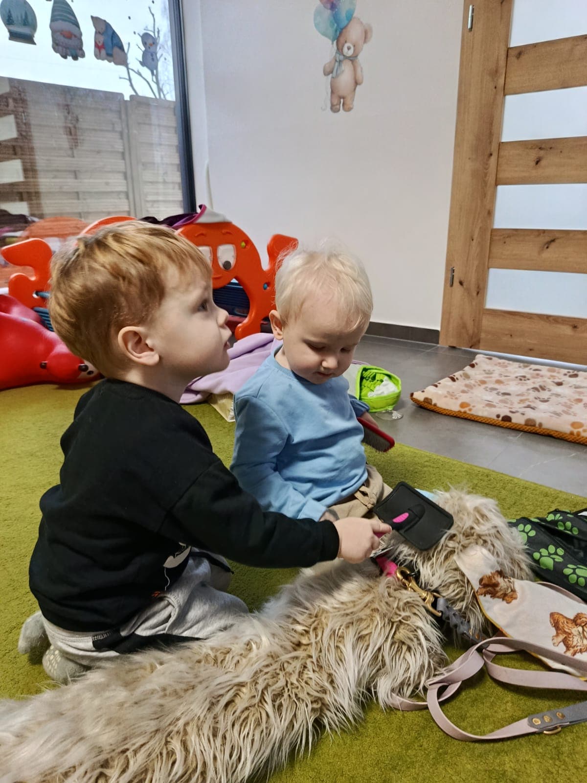 Dogotherapy gallery 3