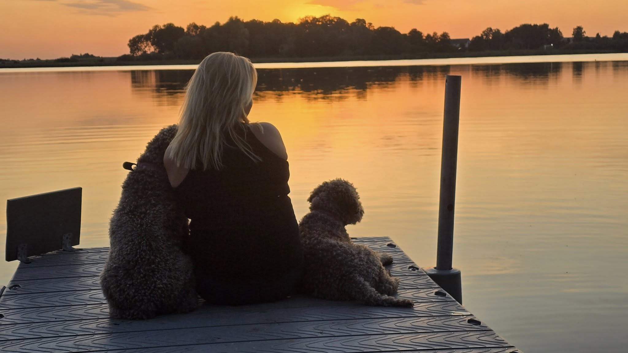 Lagotto Romagnolo 16